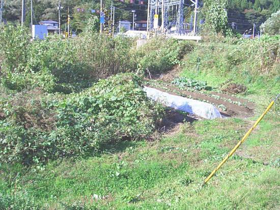 ﾊﾞﾅｰ：能代市二ツ井町字山根の土地